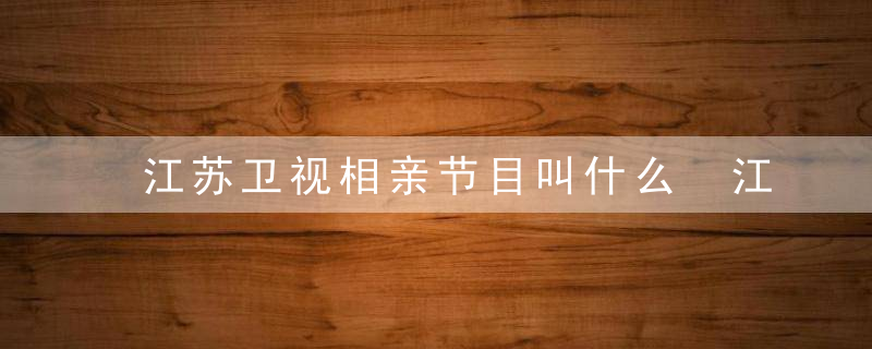 江苏卫视相亲节目叫什么 江苏卫视相亲节目是什么